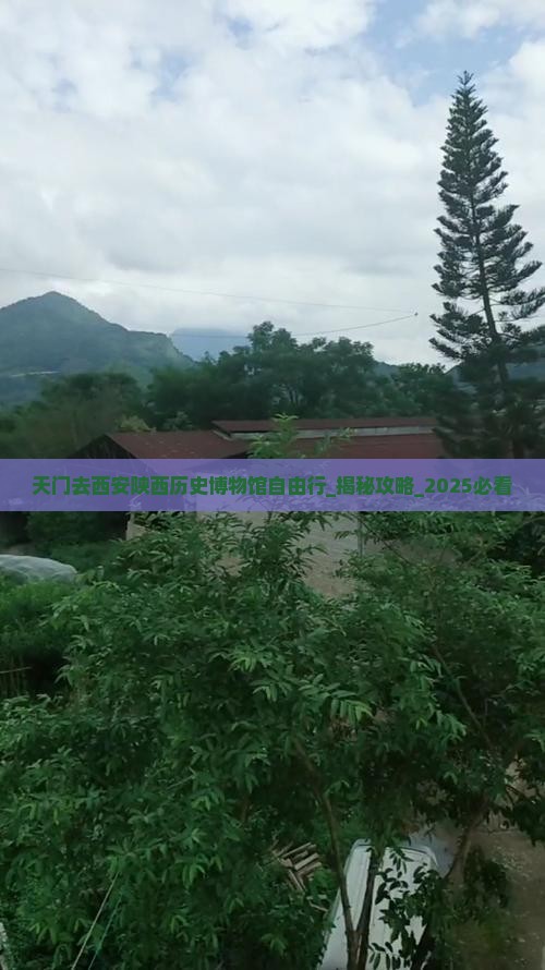 天门去西安陕西历史博物馆自由行