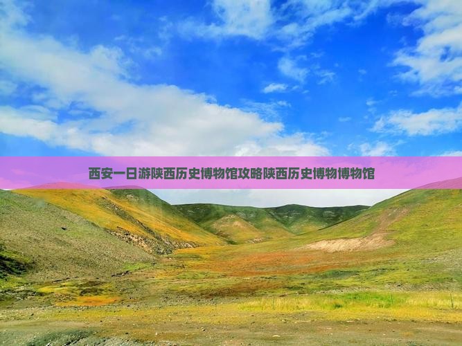 元旦去西安陕西历史博物馆一日游