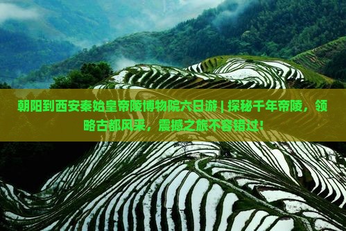 朝阳到西安秦始皇帝陵博物院六日游