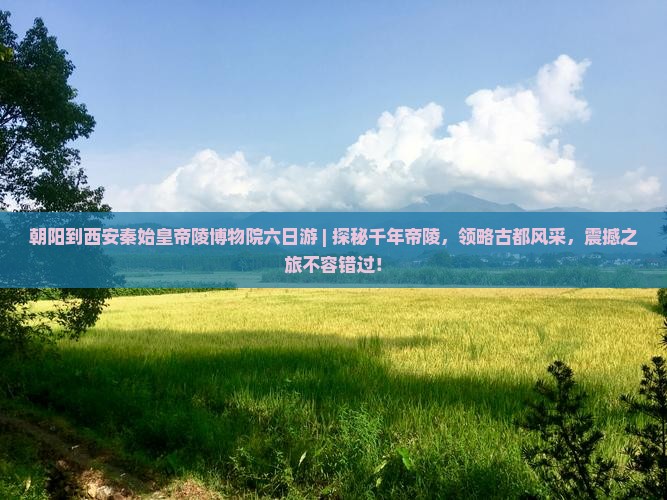 朝阳到西安秦始皇帝陵博物院六日游