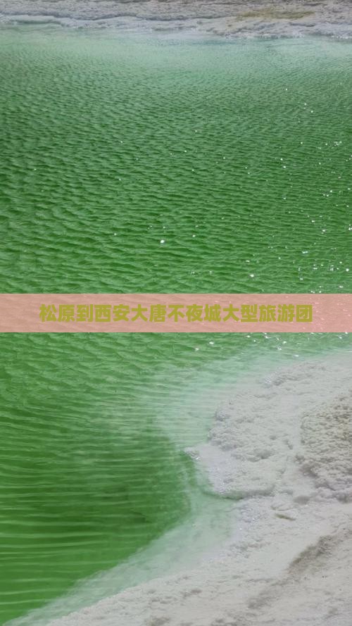 松原到西安大唐不夜城大型旅游团