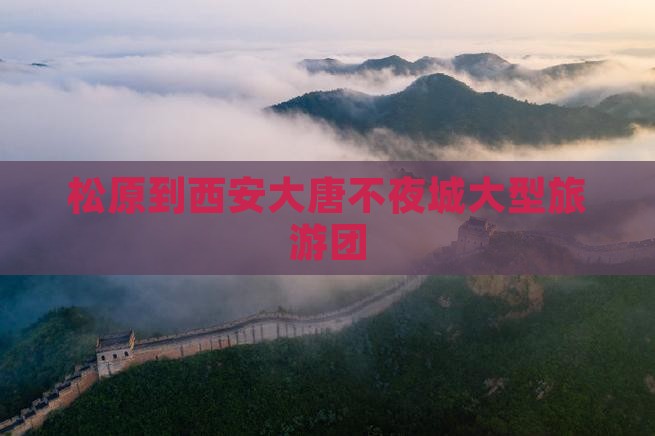 松原到西安大唐不夜城大型旅游团