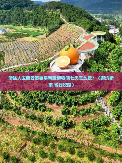 清徐去西安秦始皇帝陵博物院七日游