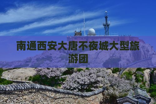 南通去西安大唐不夜城大型旅游团
