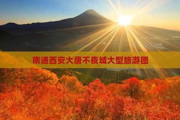 南通去西安大唐不夜城大型旅游团