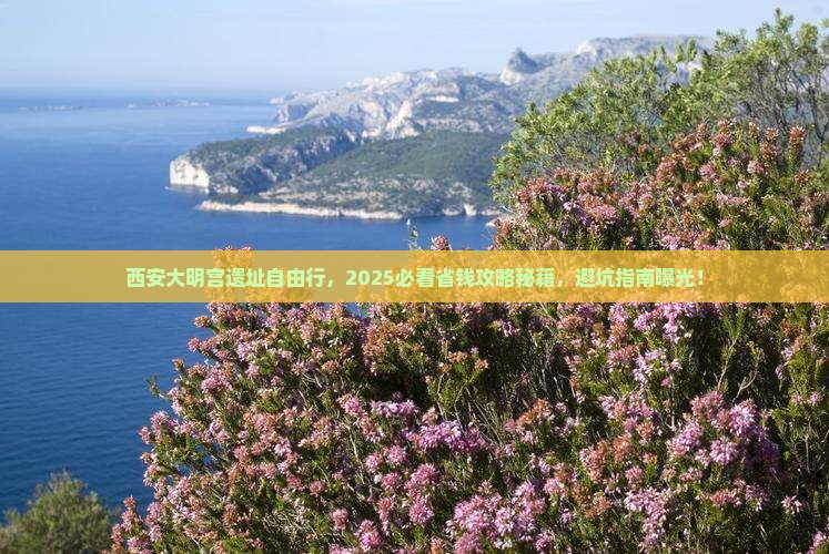 永新到西安大明宫国家遗址公园自由团