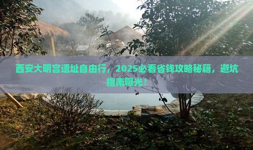 永新到西安大明宫国家遗址公园自由团