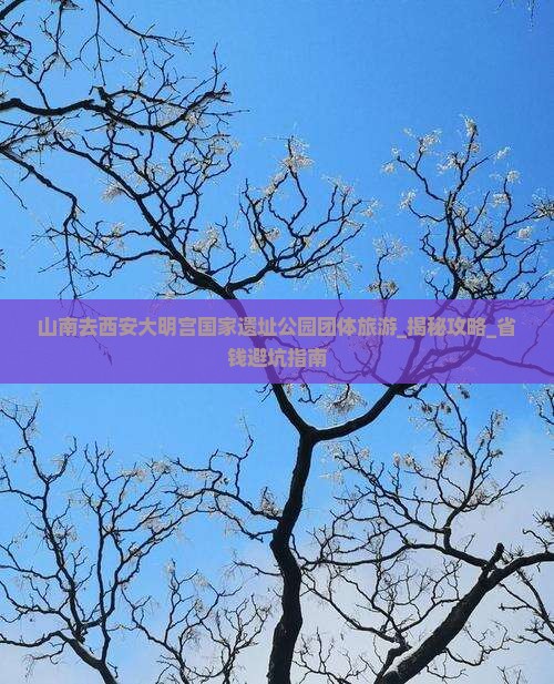 山南去西安大明宫国家遗址公园团体旅游
