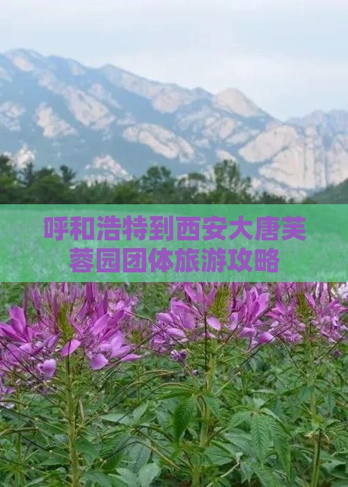呼和浩特到西安大唐芙蓉园团体旅游