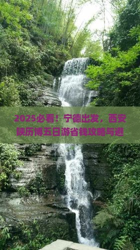 宁德到西安陕西历史博物馆五日游