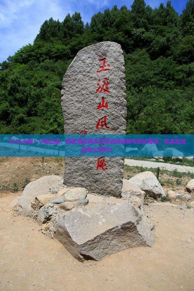 宁德到西安陕西历史博物馆五日游