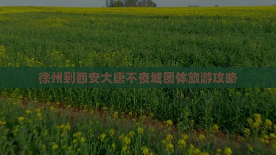 徐州到西安大唐不夜城团体旅游