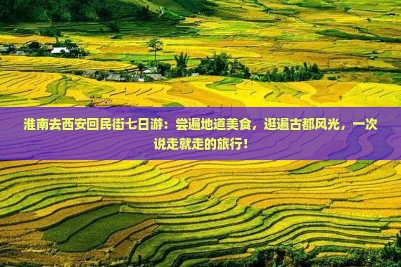 淮南去西安回民街七日游