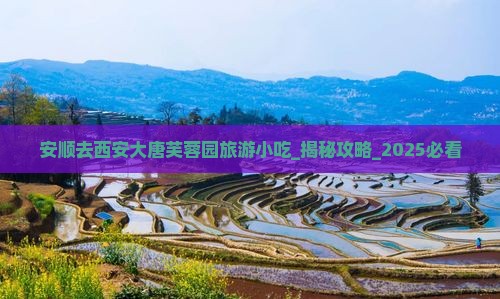 安顺去西安大唐芙蓉园旅游小吃
