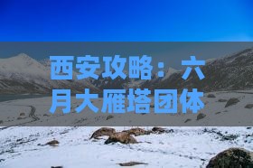 六月到西安大雁塔团体旅游