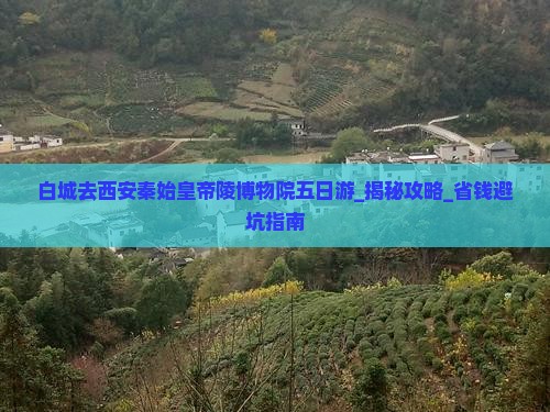 白城去西安秦始皇帝陵博物院五日游