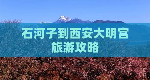 石河子到西安大明宫国家遗址公园旅行社
