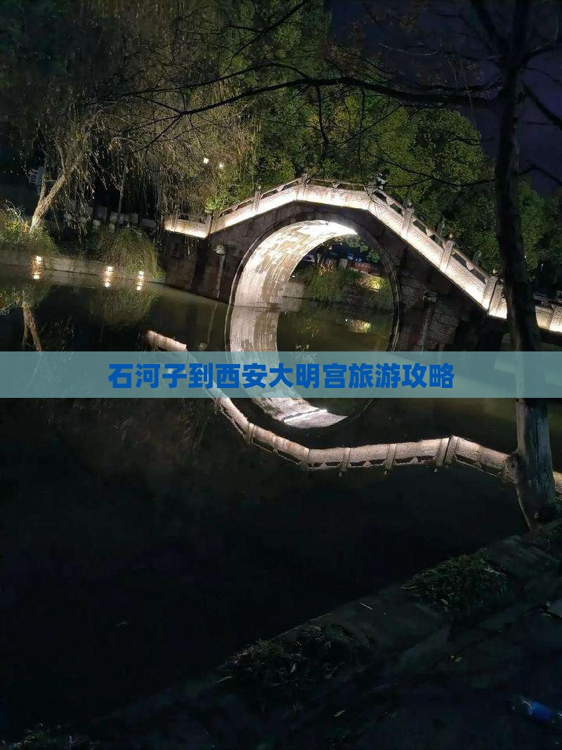 石河子到西安大明宫国家遗址公园旅行社