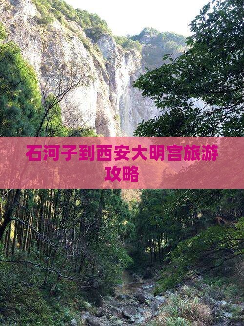 石河子到西安大明宫国家遗址公园旅行社