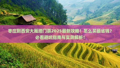 枣庄到西安大雁塔门票
