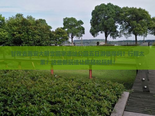 甘孜去西安大明宫国家遗址公园五日游