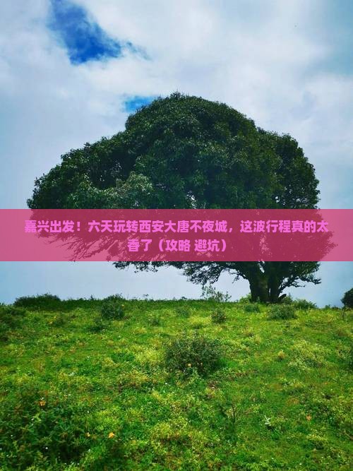 嘉兴到西安大唐不夜城六日游