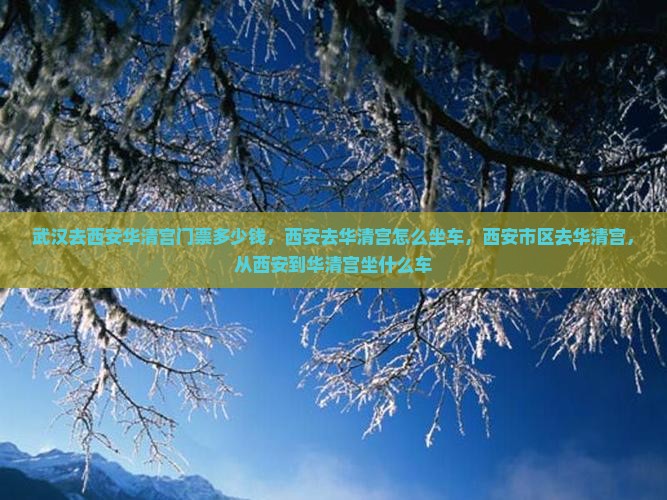 武汉去西安华清宫门票