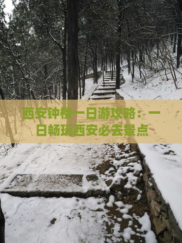 春节到西安钟楼一日游