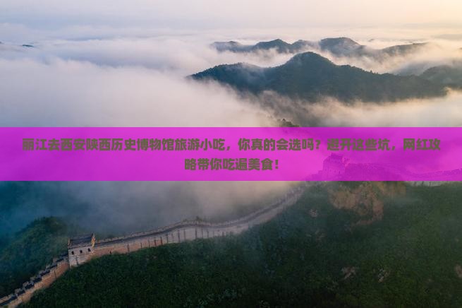 丽江去西安陕西历史博物馆旅游小吃