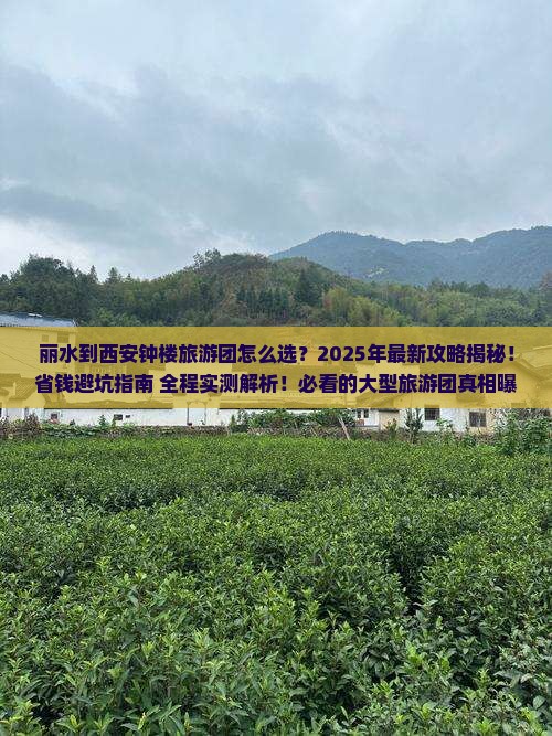 丽水到西安钟楼大型旅游团