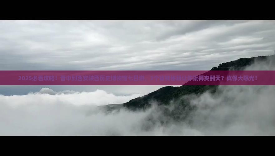 晋中到西安陕西历史博物馆七日游