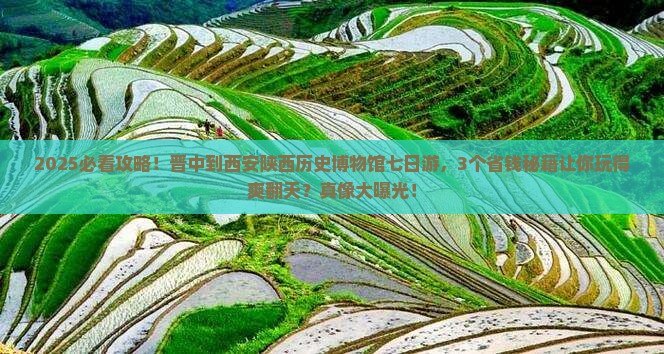 晋中到西安陕西历史博物馆七日游