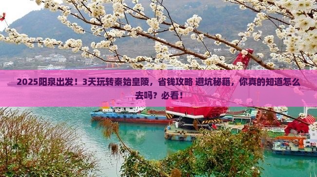 阳泉到西安秦始皇帝陵博物院三日游