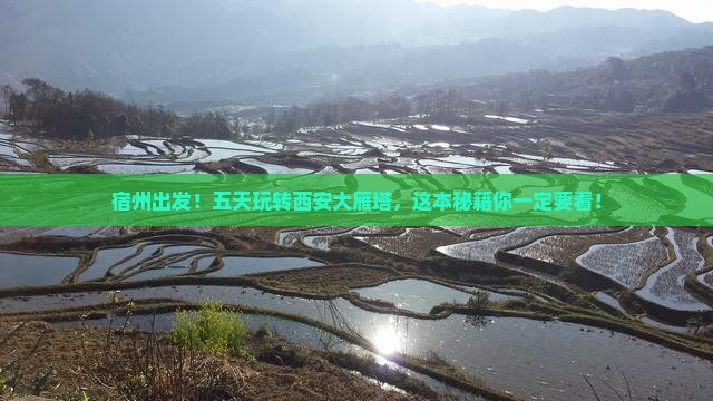 宿州到西安大雁塔五日游