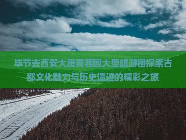 毕节去西安大唐芙蓉园大型旅游团