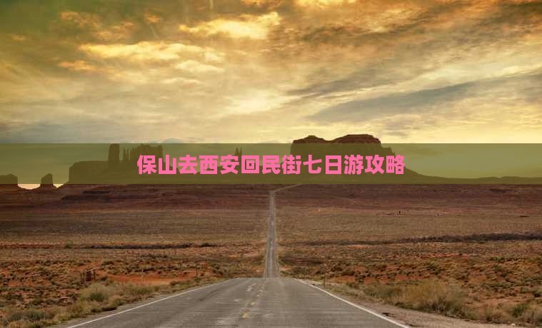 保山去西安回民街七日游