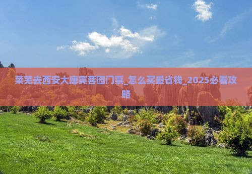 莱芜去西安大唐芙蓉园门票