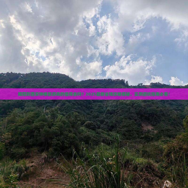 揭阳到西安钟楼旅游