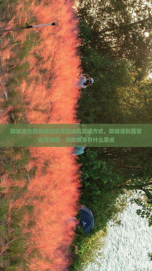 防城港去西安城墙景点