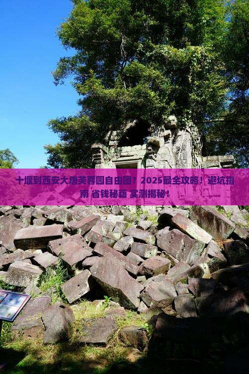 十堰到西安大唐芙蓉园自由团