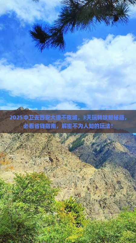 中卫去西安大唐不夜城哪里玩