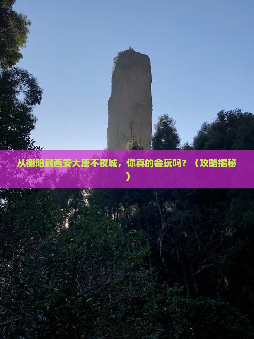 衡阳到西安大唐不夜城个人游