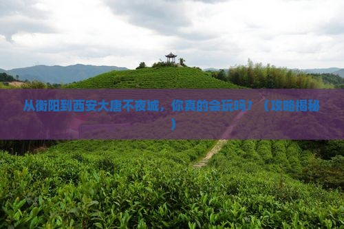 衡阳到西安大唐不夜城个人游