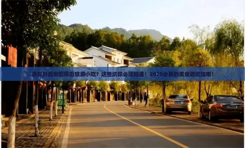 泰安到西安回民街旅游小吃