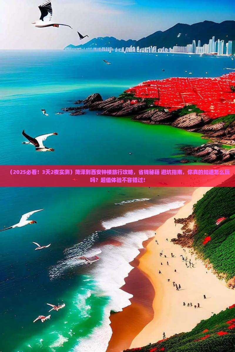 菏泽到西安钟楼旅行社