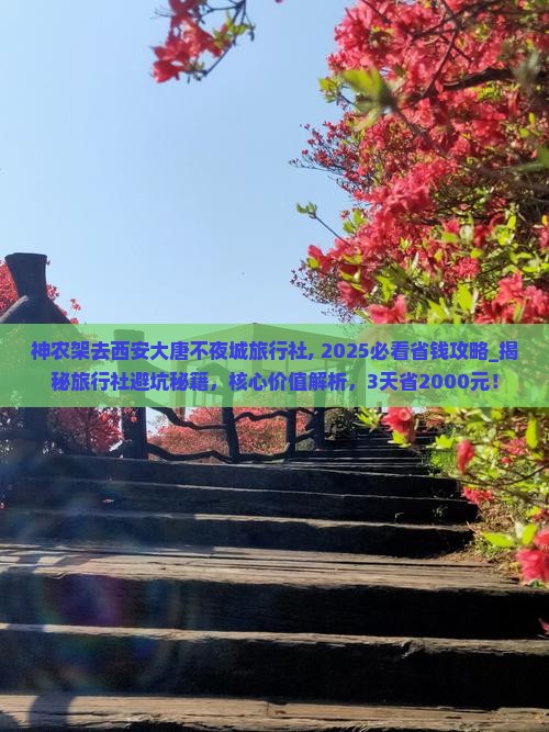 神农架去西安大唐不夜城旅行社