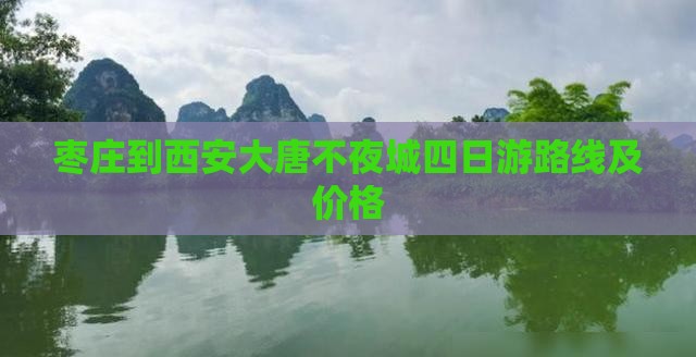 枣庄到西安大唐不夜城四日游