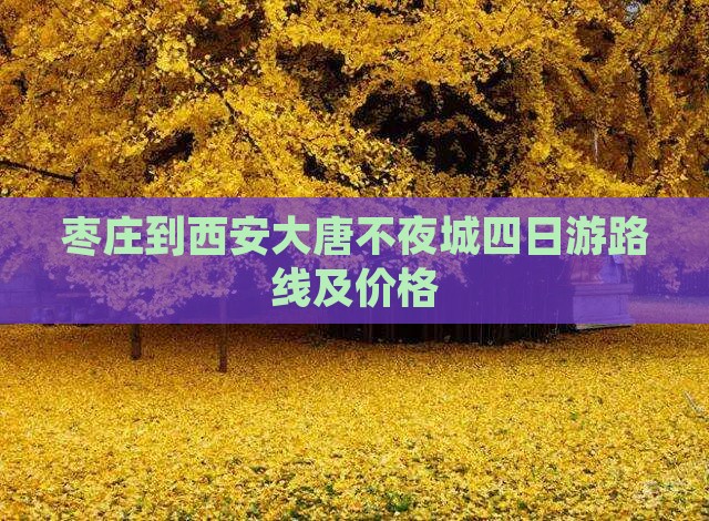 枣庄到西安大唐不夜城四日游