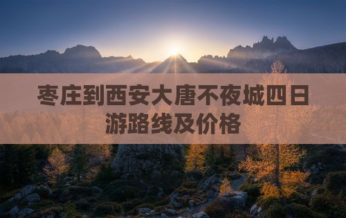 枣庄到西安大唐不夜城四日游