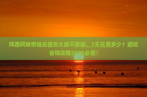 鸡西去西安大唐不夜城七日游